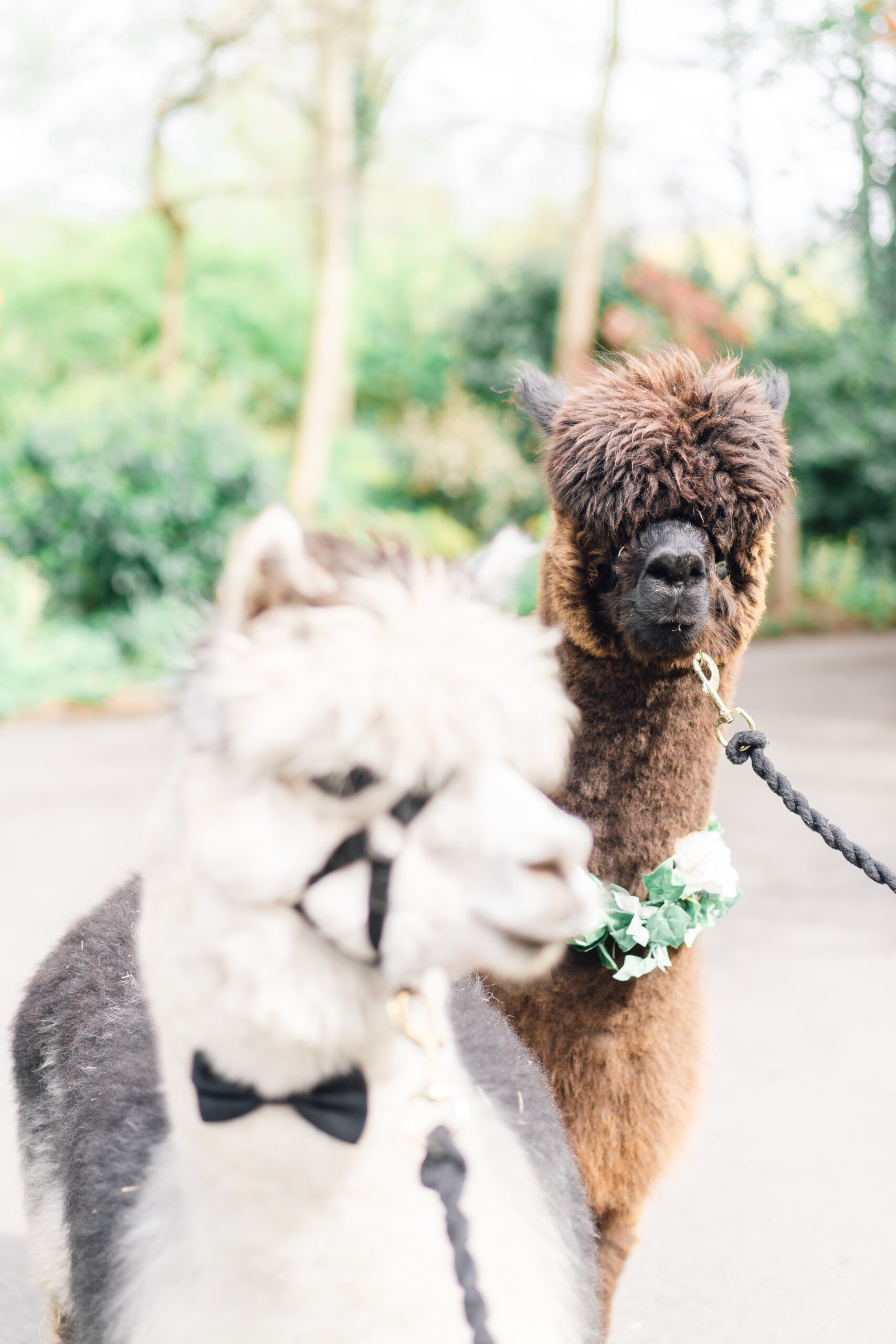 Cheshire wedding photographer